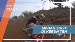 Tantang Diri di Medan Sulit Kebun Teh Penyairan, Cianjur  