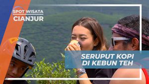 Seruput Kopi dan Nikmati Pemandangan Kebun Teh Penyairan, Cianjur  