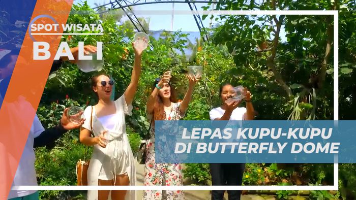 Lepaskan Kupu-Kupu di Butterfly Dome, Bali