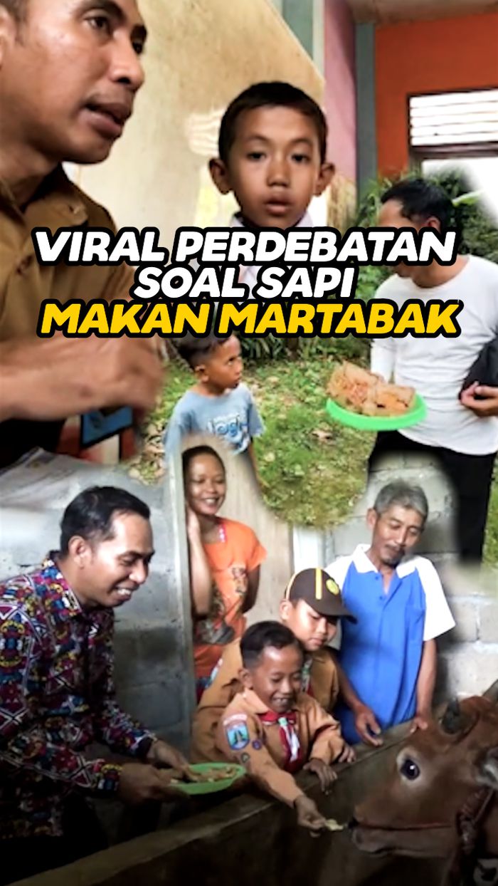 Video: Viral Sapi Makan Martabak di Lumajang, Ini Kata Dinas Pertanian