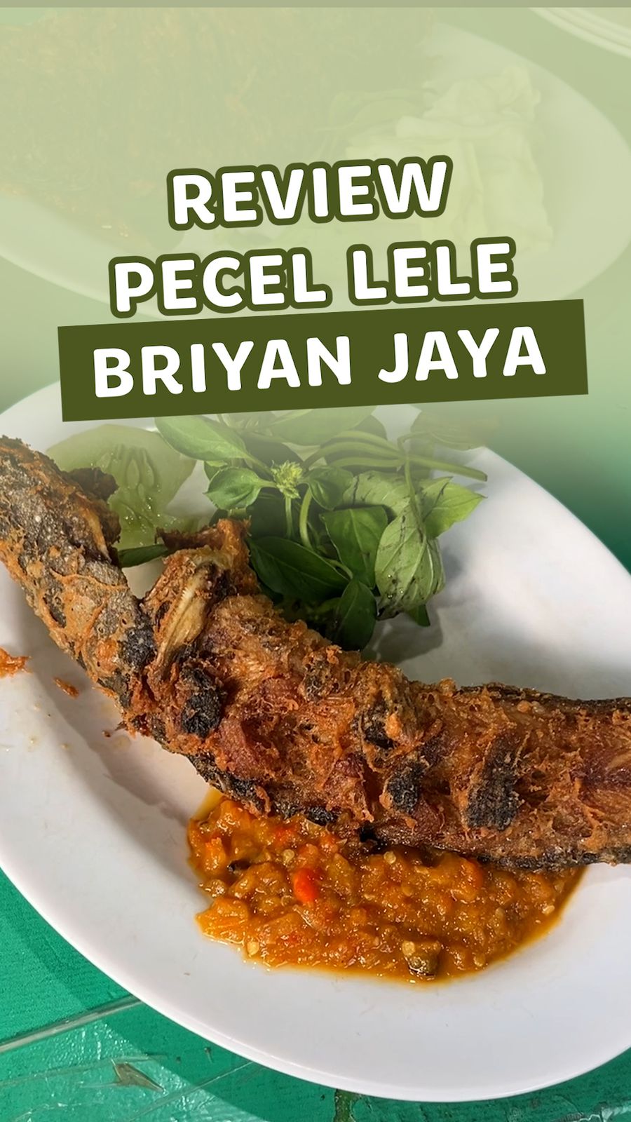 Video: Mampir ke Warung Pecel Lele Rekomendasi Google Review