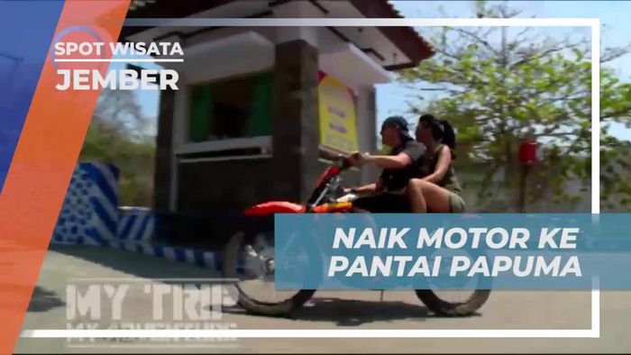 Menjelajahi Keindahan Pantai Papuma di Jember
