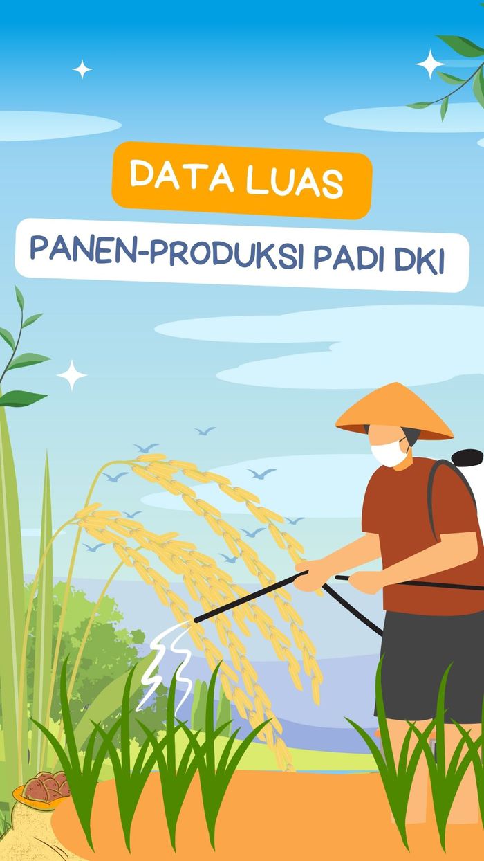 Video: Hasil Panen Padi di Jakarta Turun  