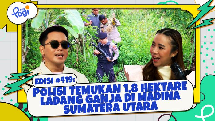 Polisi Temukan 1,8 Hektare Ladang Ganja di Madina Sumatera Utara
