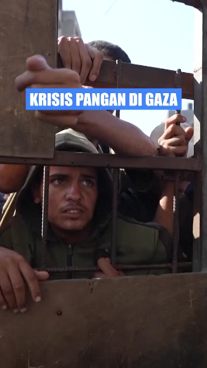 Video: Krisis Pangan di Gaza yang Memilukan