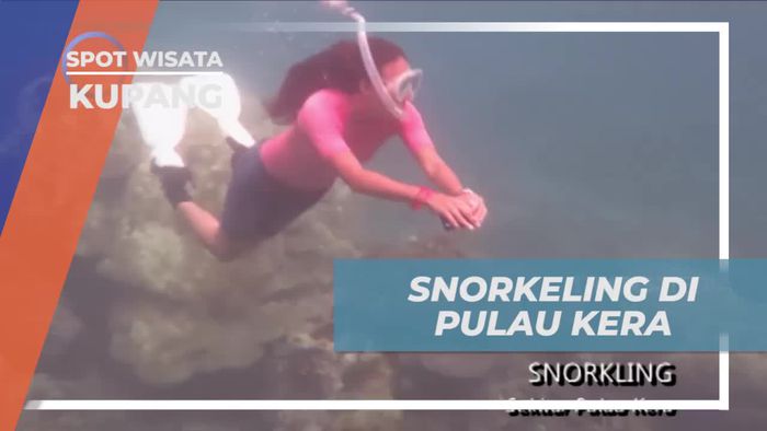 Snorkeling Seru di Laut Pulau Kera, Kupang