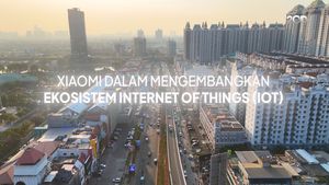 Xiaomi dalam Mengembangkan Ekosistem Internet of Things (IOT)
