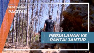 Perjalanan Menuju Pesona Pantai Jantur, Pacitan
