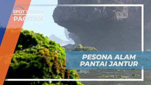 Pesona Tersembunyi di Pantai Jantur, Pacitan