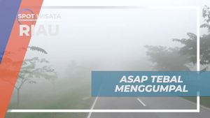 Melihat Asap Tebal di Riau, Tantangan Dimulai