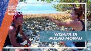 Eksplorasi Pulau Morau, Keindahan Alam Tersembunyi di Maluku Barat Daya