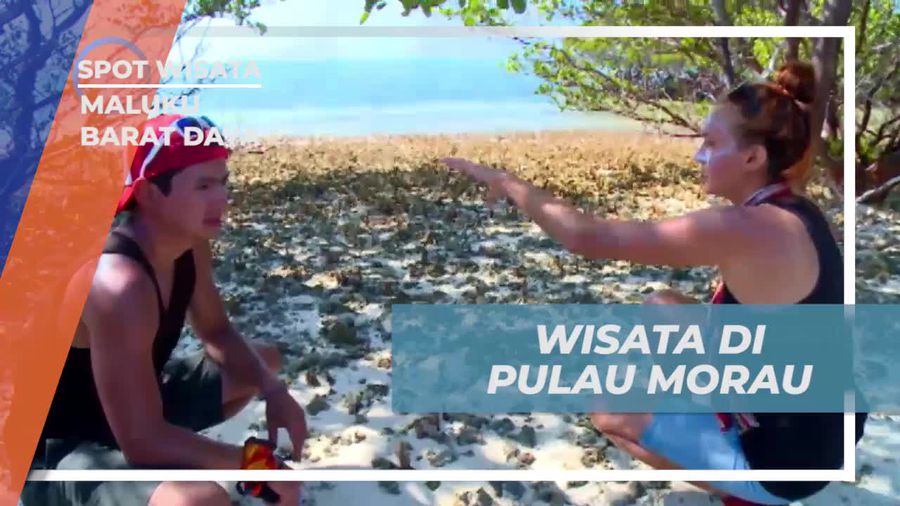 Eksplorasi Pulau Morau, Keindahan Alam Tersembunyi di Maluku Barat Daya