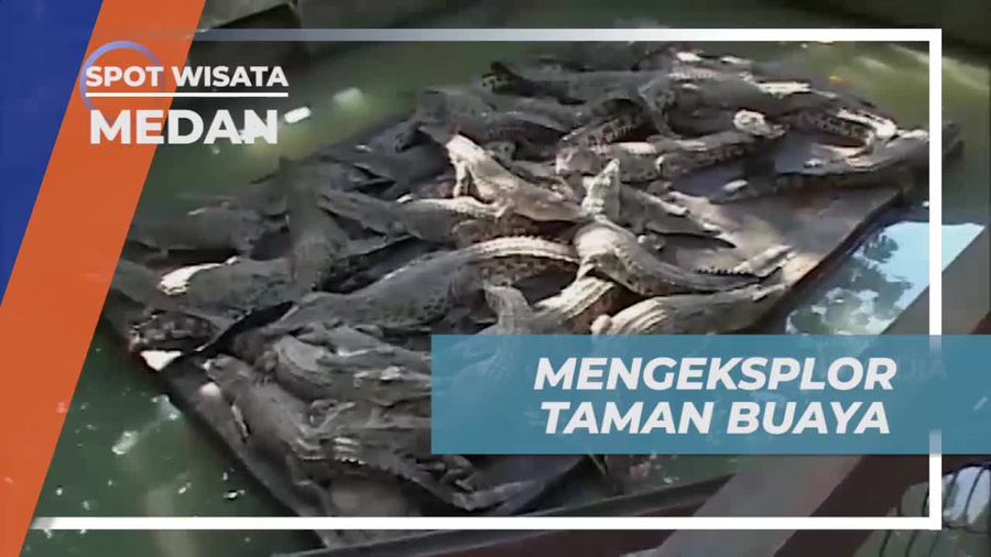 Menikmati Wisata Taman Buaya yang Menarik di Medan