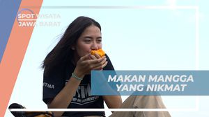 Menyantap Mangga Manis di Puncak Gunung Tilu, Jawa Barat