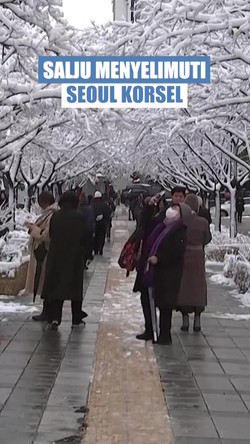 Video: Rekor Hujan Salju Bulan November Terlebat di Seoul Sejak 1907