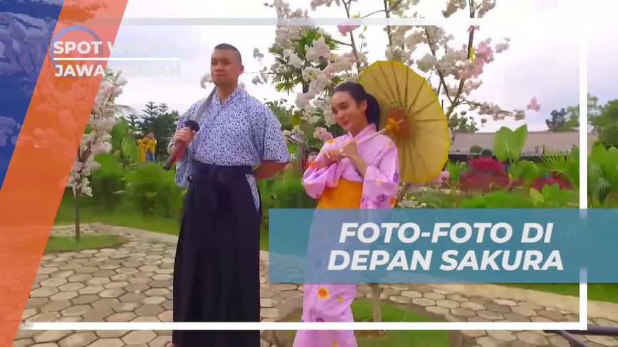 Foto-foto Unik di Depan Sakura di Rumah Adat Jepang Banyumas