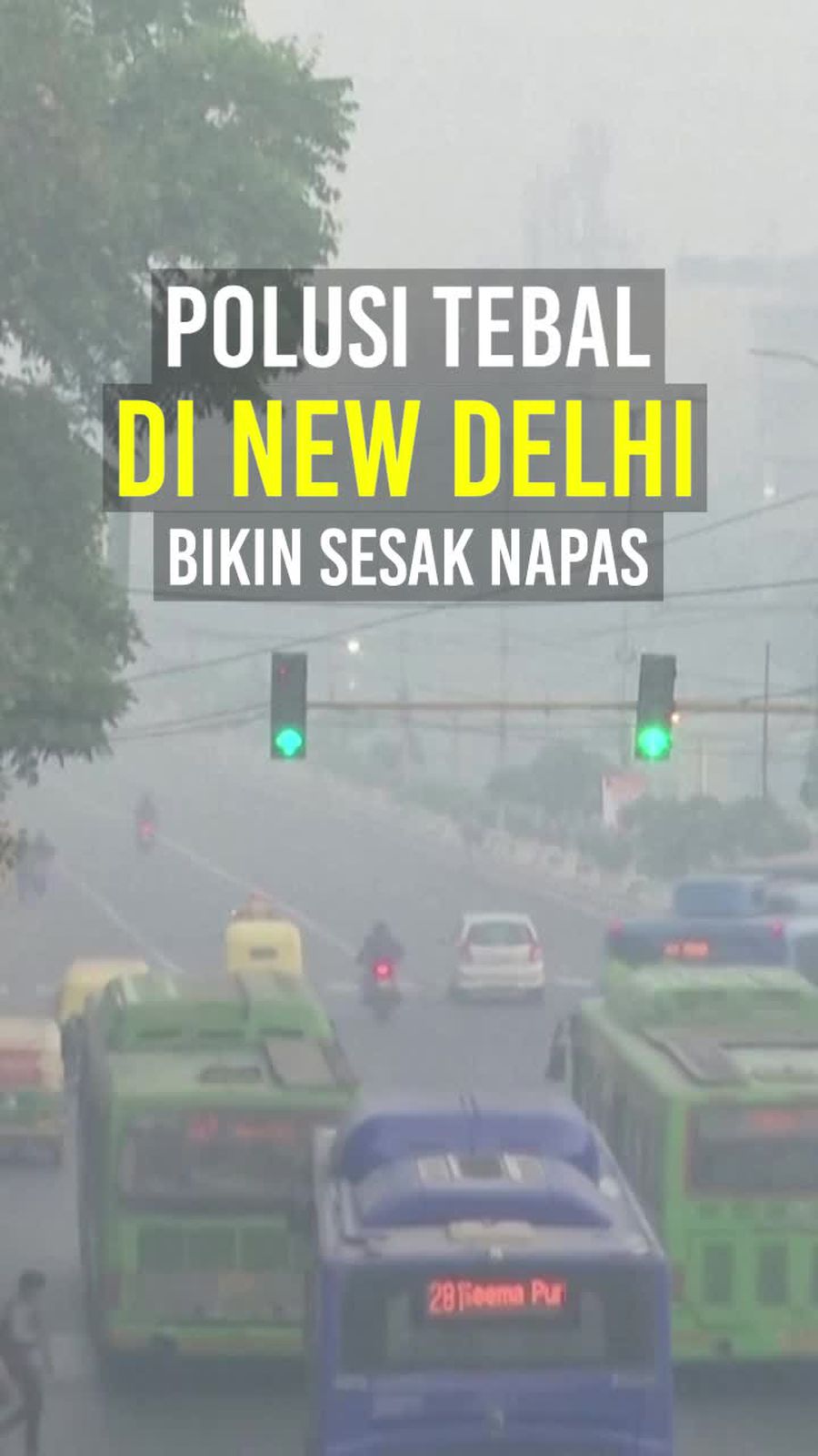 Video: Ketika Warga New Delhi Mengeluhkan Polusi Udara yang Bahaya