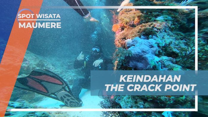 Nikmati Keindahan The Crack Point di Maumere yang Penuh Sejarah
