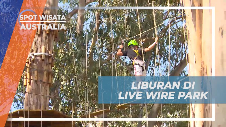Bergabung dalam Kegiatan Seru di Live Wire Park, Australia