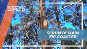Rasakan Sensasi Adrenalin Main Zip Coaster di Live Wire Park, Australia
