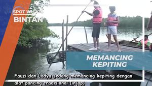 Menangkap Kepiting di Hutan Mangrove Bintan