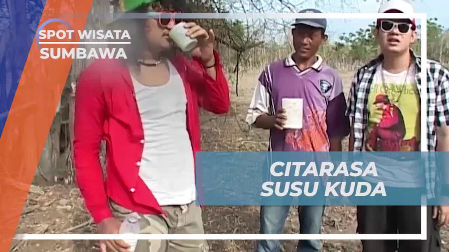Menikmati Cita Rasa Susu Kuda di Desa Penyaring, Sumbawa