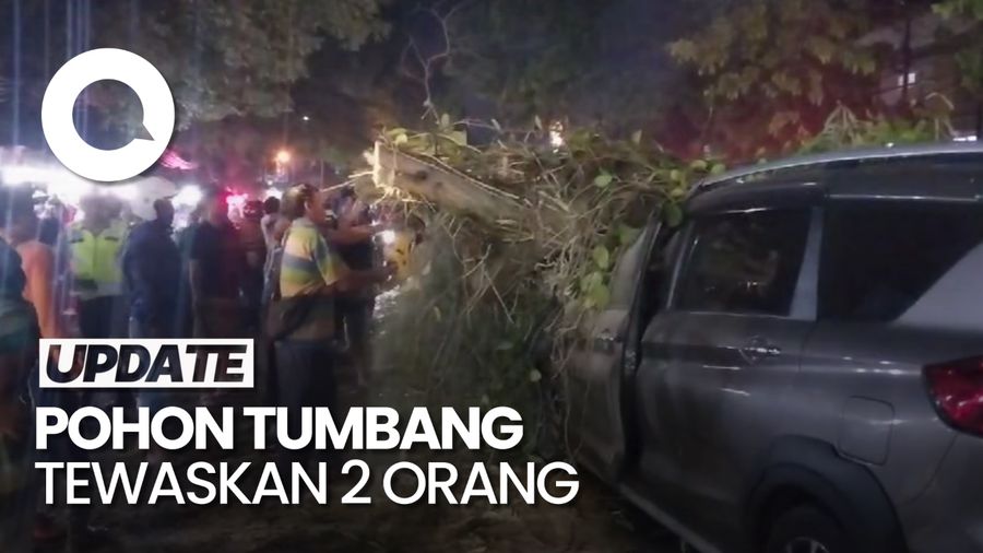 Video Pohon Tumbang Timpa Sejumlah Kendaraan di Malang, 2 Orang Tewas