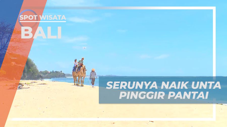 Menunggangi Unta di Pesisir Pantai Sawangan, Nusa Dua, Bali  
