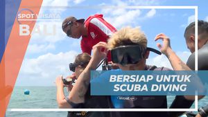 Bersiap untuk Scuba Diving Pertama di Tanjung Benoa, Bali  