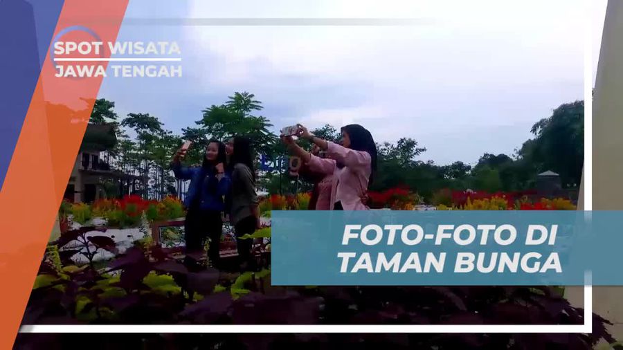 Foto-Foto Seru di Taman Bunga Celosia yang Memukau, Pekalongan