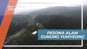 Pesona Alam Gunung Yumyeong dari Ketinggian Paralayang di Korea Selatan
