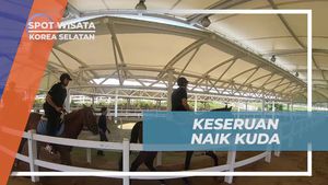Keseruan Menunggang Kuda di Horse Riding Center, Korea Selatan