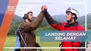 Mendarat dengan Selamat Setelah Petualangan Paralayang di Korea Selatan