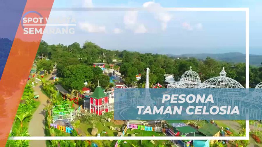 Pesona Taman Celosia yang Memukau di Semarang