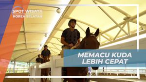 Memacu Kuda dengan Semangat di Horse Riding Center, Korea Selatan