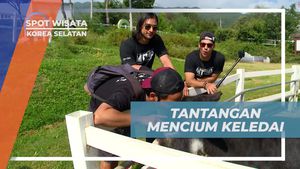 Tantangan Seru Mencium Keledai di Horse Riding Center, Korea Selatan