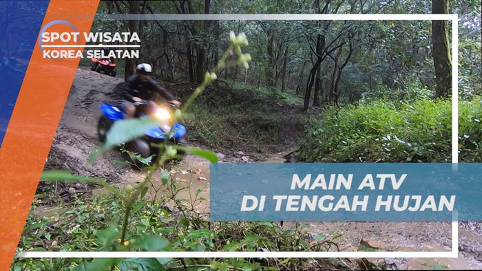Main ATV Seru di Tengah Hujan Hutan Korea Selatan