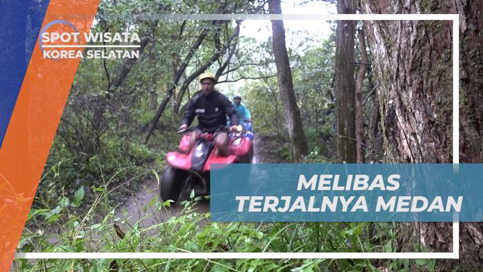 Menaklukkan Medan Terjal dengan ATV di Hutan Korea Selatan