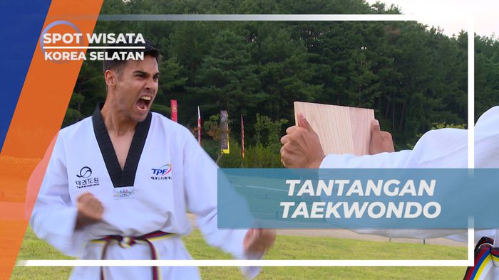 Menghadapi Tantangan Gerakan Taekwondo di Korea Selatan
