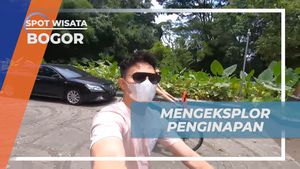 Eksplorasi Fasilitas Seru di Novotel Resort, Bogor