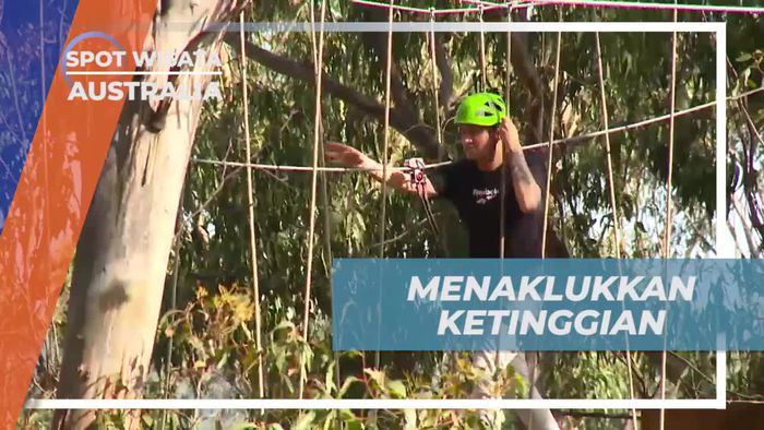 Menghadapi Tantangan Ketinggian di Live Wire Park, Australia