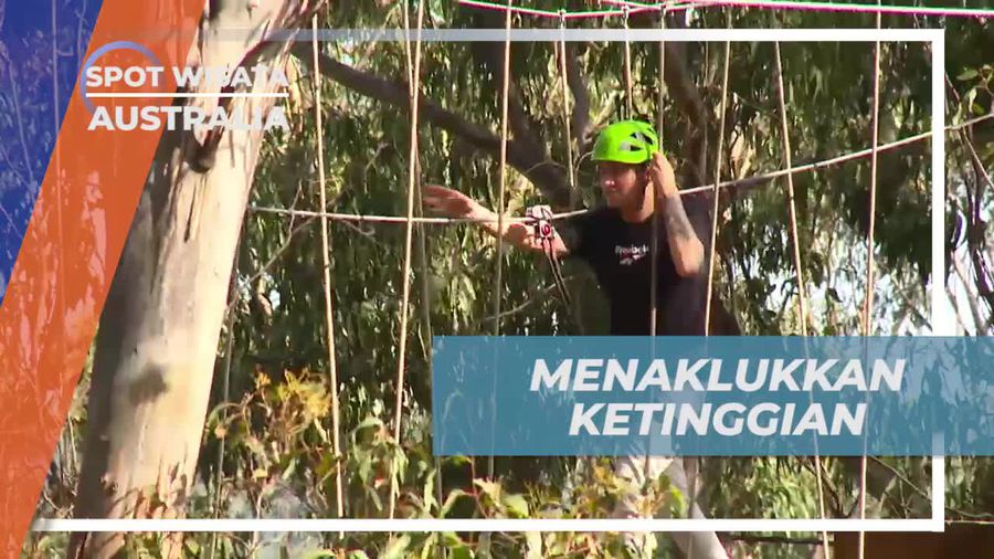 Menghadapi Tantangan Ketinggian di Live Wire Park, Australia