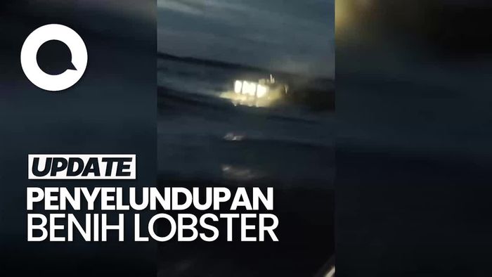 Video: Detik-detik Penangkapan Pelaku Penyelundupan Benih Lobster