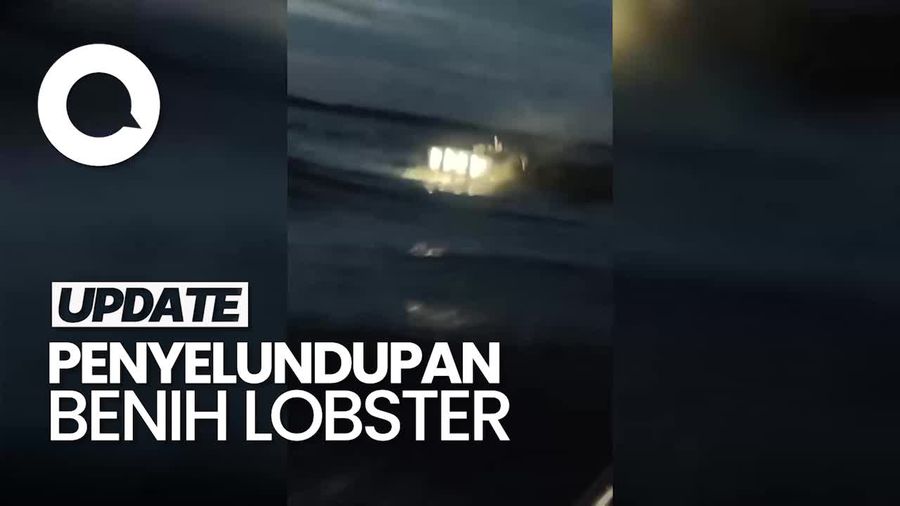 Video: Detik-detik Penangkapan Pelaku Penyelundupan Benih Lobster