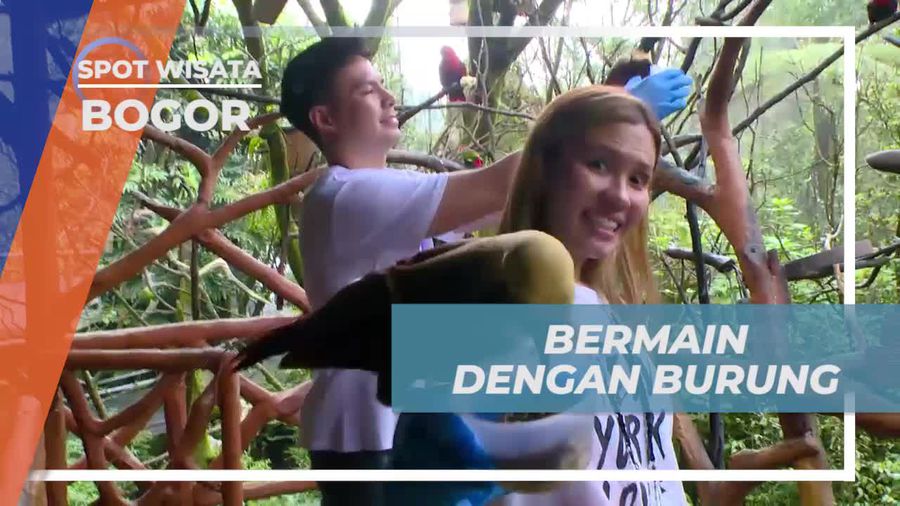 Bermain dan Memberi Makan Burung di Taman Safari Bogor