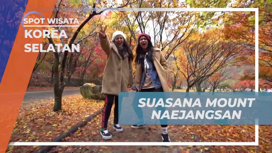 Menikmati Suasana Asri di Mount Naejangsan, Korea Selatan