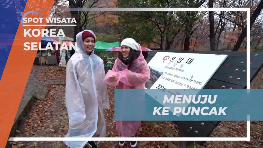 Perjalanan Seru Menuju Puncak Mount Naejangsan, Korea Selatan