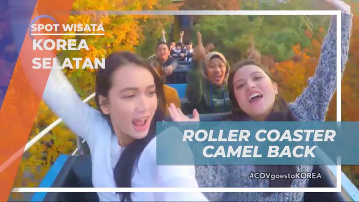Serunya Naik Roller Coaster Camel Back di Daegu, Korea Selatan