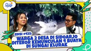 Warga 2 Desa di Sidoarjo Diteror Kemunculan 4 Buaya di Sungai Klurak
