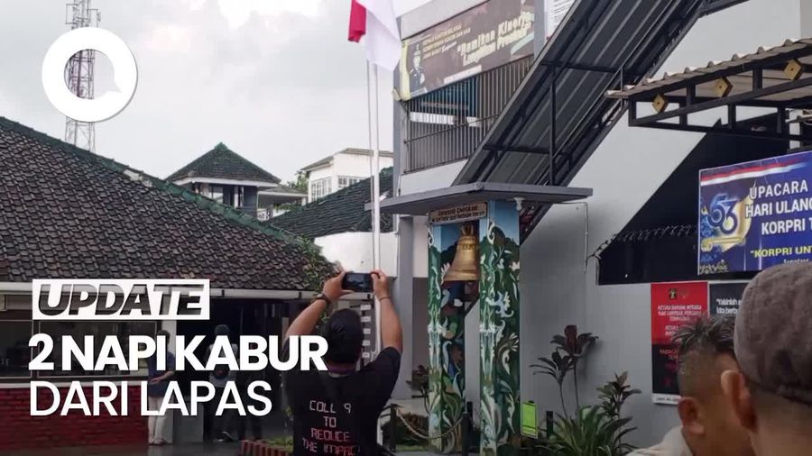 Video 2 Napi Sumedang Kabur saat Pos Jaga Kosong